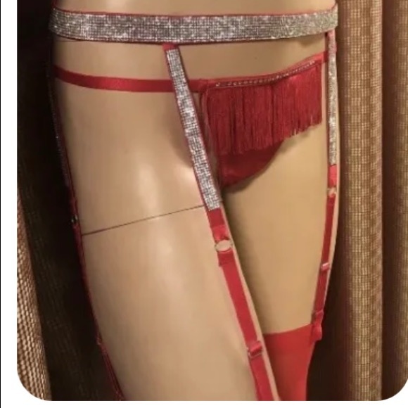 Victoria's Secret bling garter belt M/L and
bling fringe panty Size Large! - Picture 2 of 6